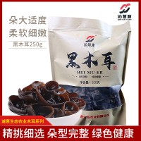 山陽縣沁慧源黑木耳250g/袋 秦嶺黑木耳